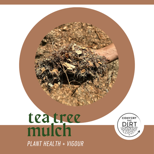 TEA-TREE MULCH